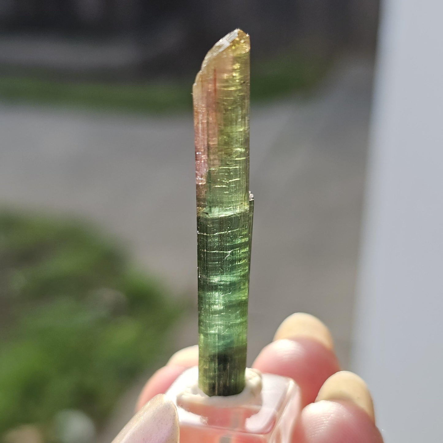 New Find Tourmaline var. Elbaite Twin Pencil Crystal, Taquaral Brazil 2022