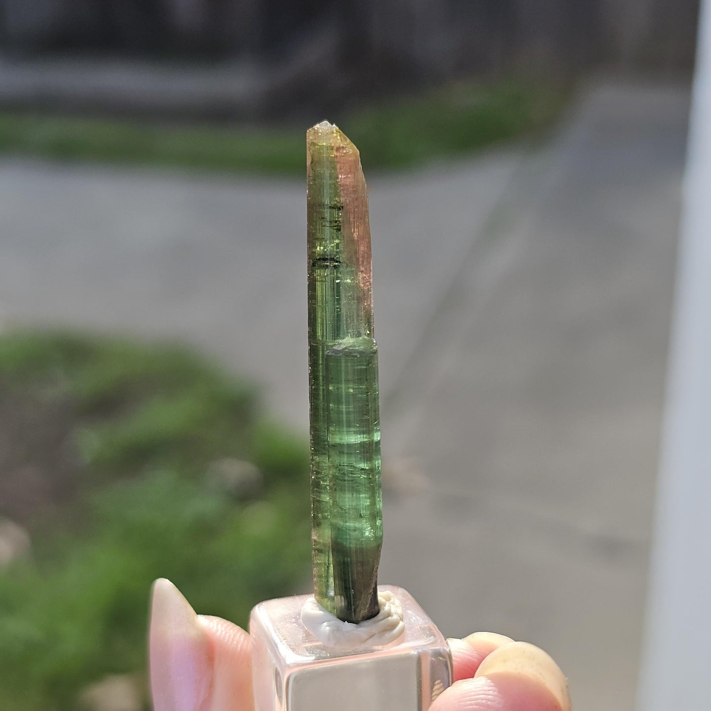 New Find Tourmaline var. Elbaite Twin Pencil Crystal, Taquaral Brazil 2022