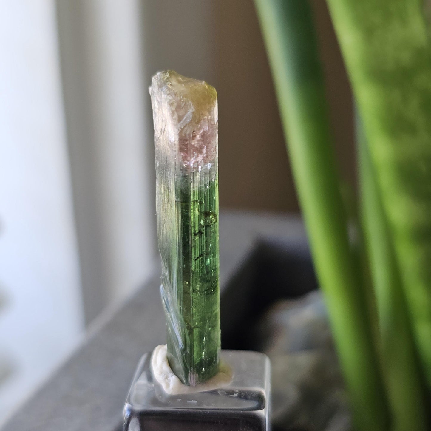 Tourmaline var. Elbaite, Taquaral Brazil, Rainbow Terminated Crystal