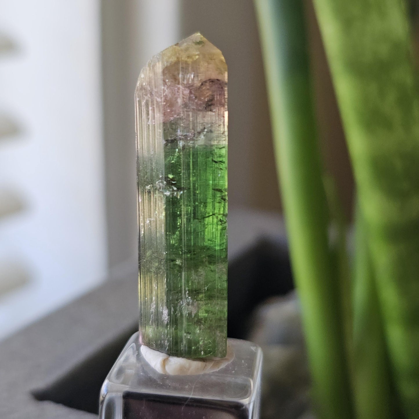 Tourmaline var. Elbaite, Taquaral Brazil, Rainbow Terminated Crystal