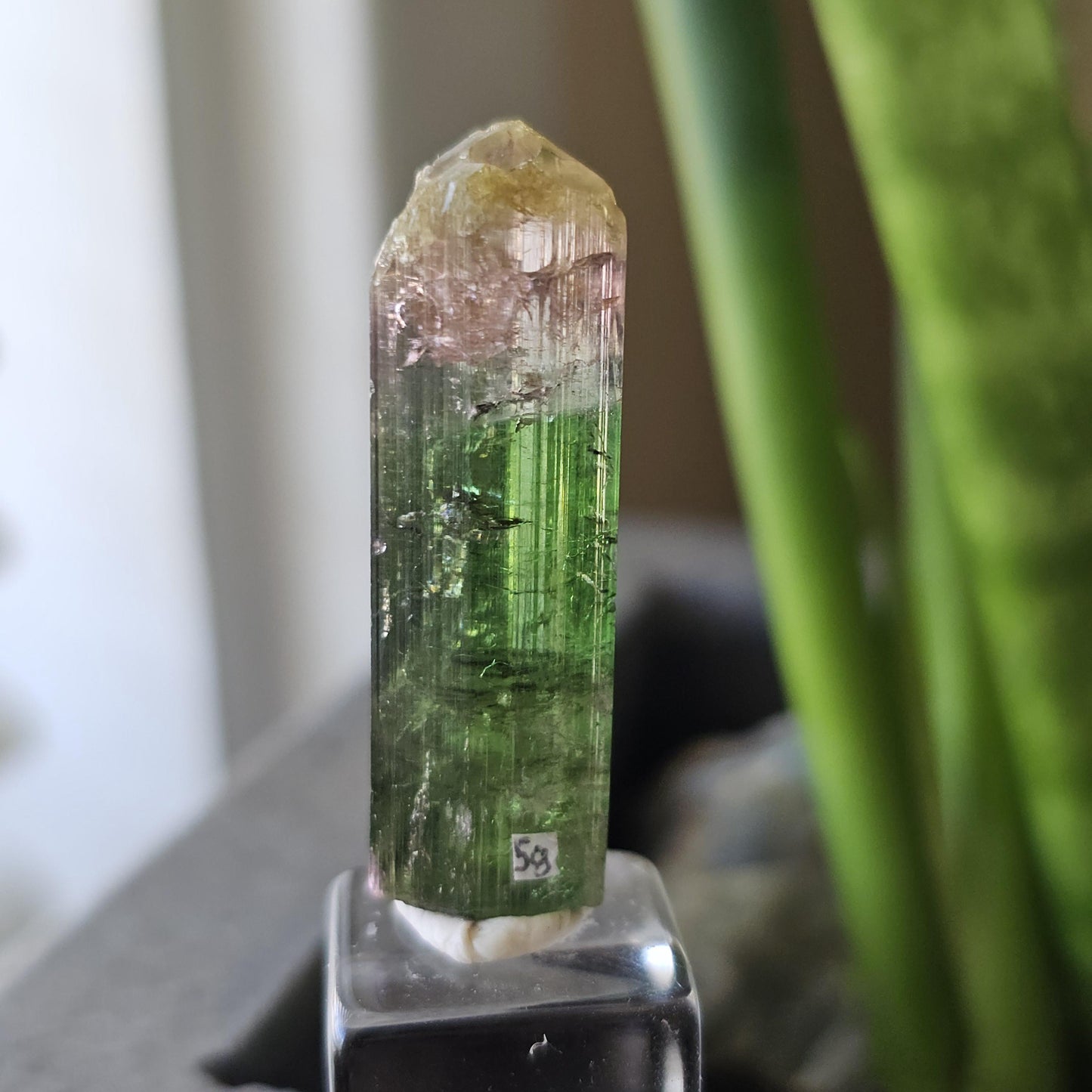 Tourmaline var. Elbaite, Taquaral Brazil, Rainbow Terminated Crystal
