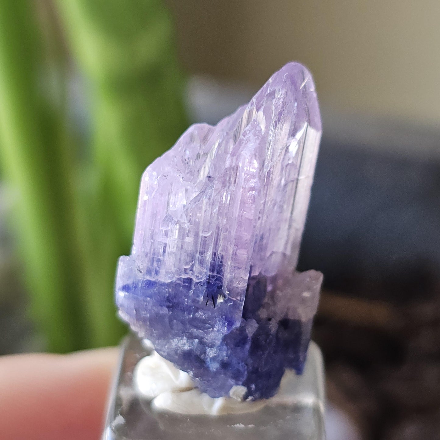 Rare Bicolor Tanzanite with Pink Termination from Merelani Hills, Tanzania, 5g / 25ct