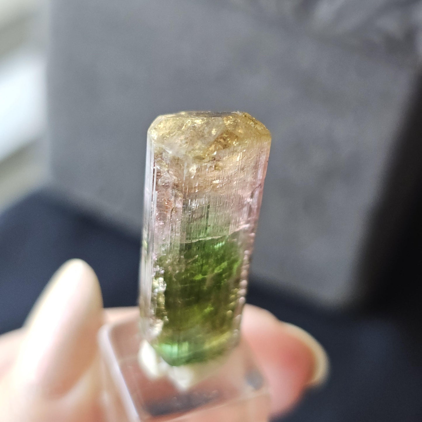 Tourmaline var. Elbaite, Taquaral Brazil, Rainbow Terminated Crystal, Rare Raw October Birthstone, Teal Green Yellow and Pink Gemstone