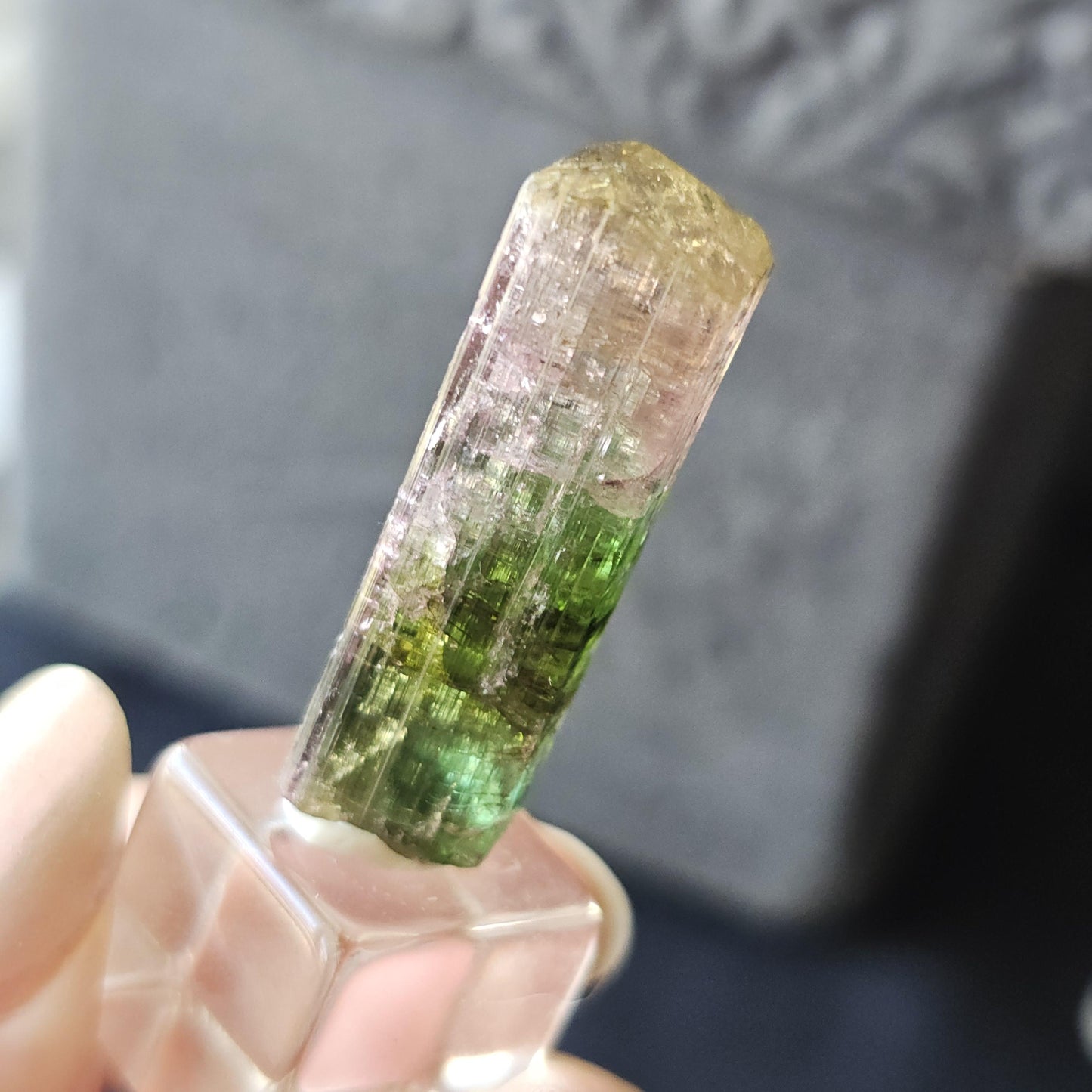 Tourmaline var. Elbaite, Taquaral Brazil, Rainbow Terminated Crystal, Rare Raw October Birthstone, Teal Green Yellow and Pink Gemstone