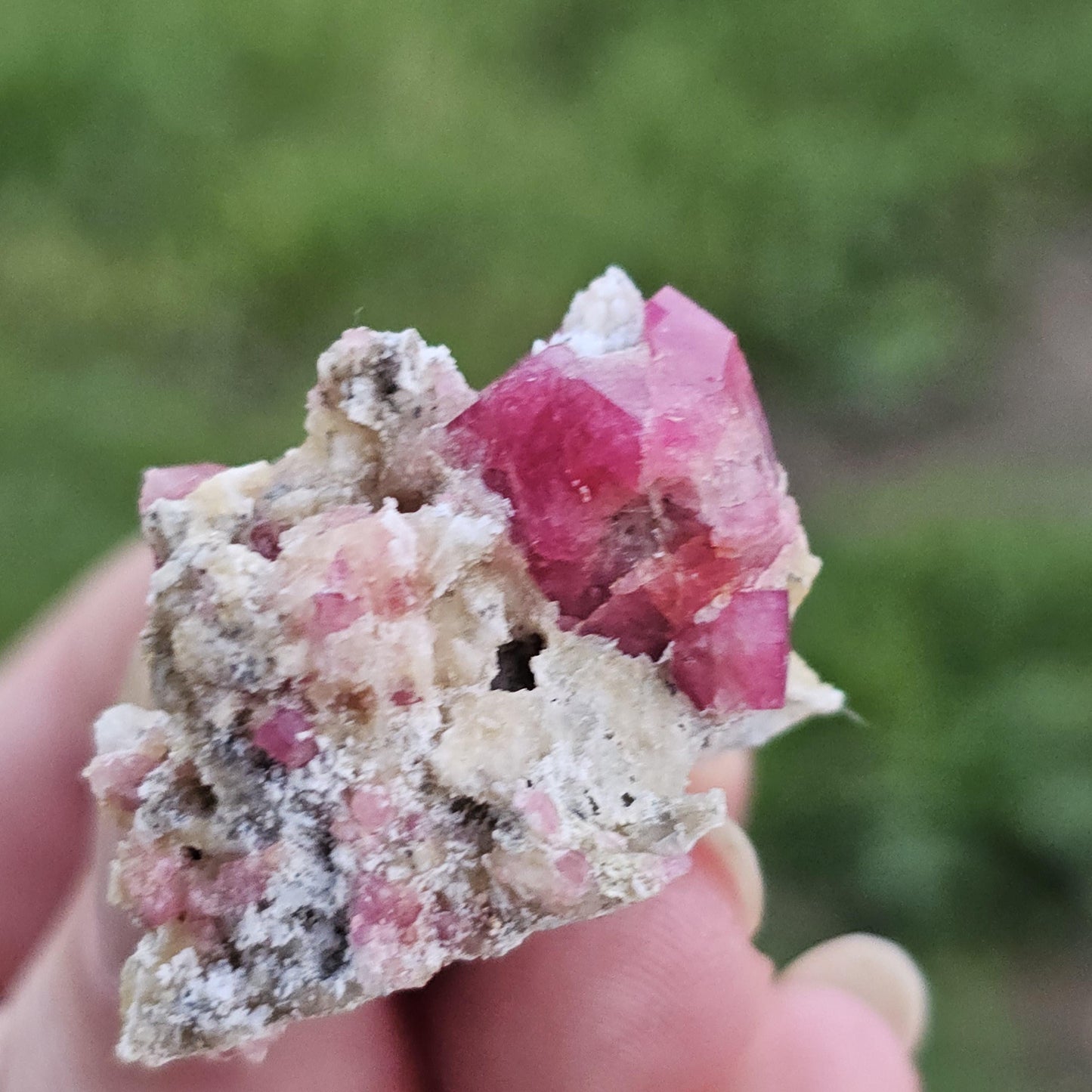 Raspberry Garnet on Matrix from Coahuila, Mexico, New Find 2024 <100