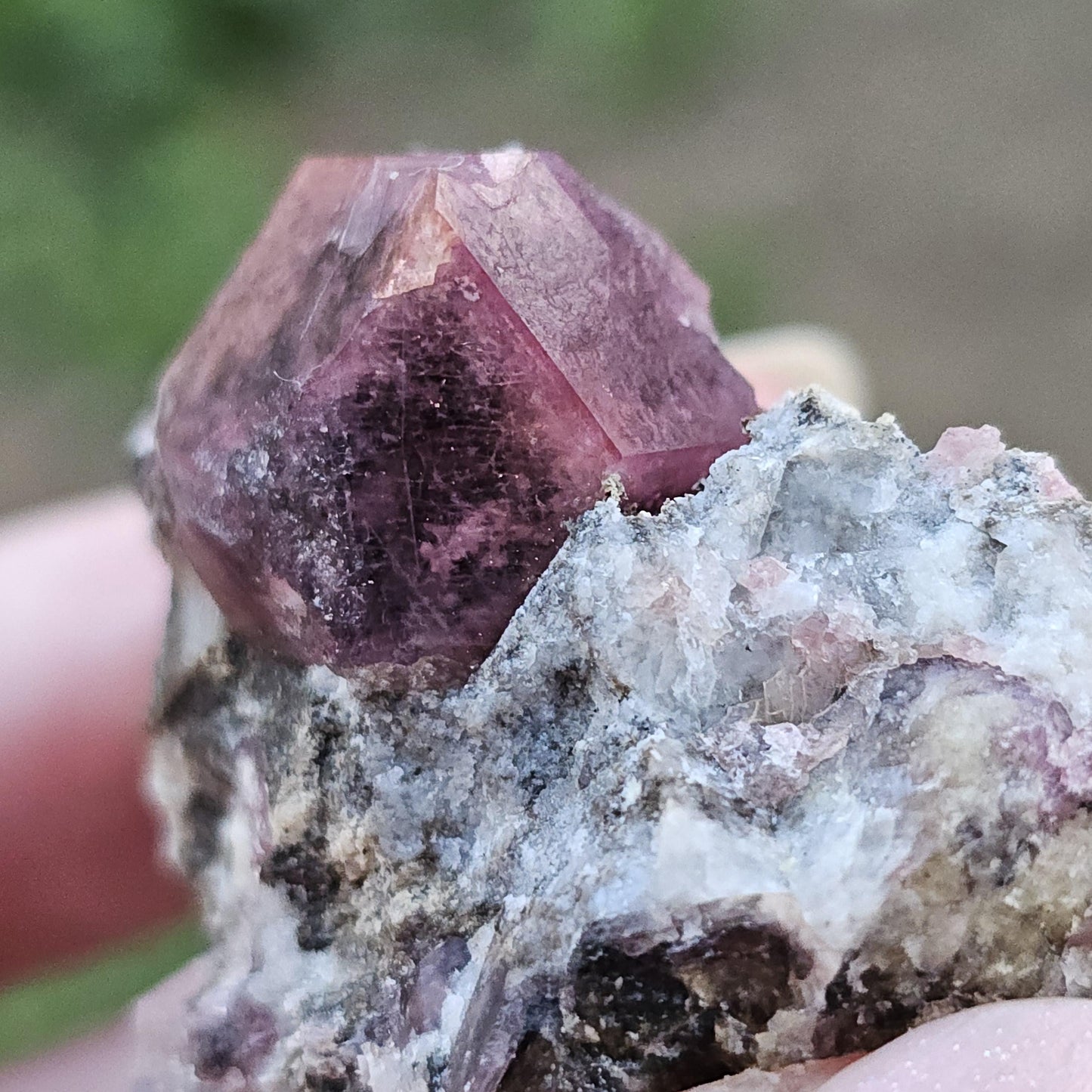 Raspberry Garnet on Matrix from Coahuila, Mexico, New Find 2024 <100