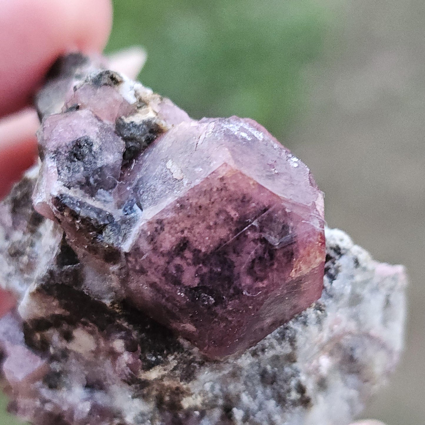Raspberry Garnet on Matrix from Coahuila, Mexico, New Find 2024 <100