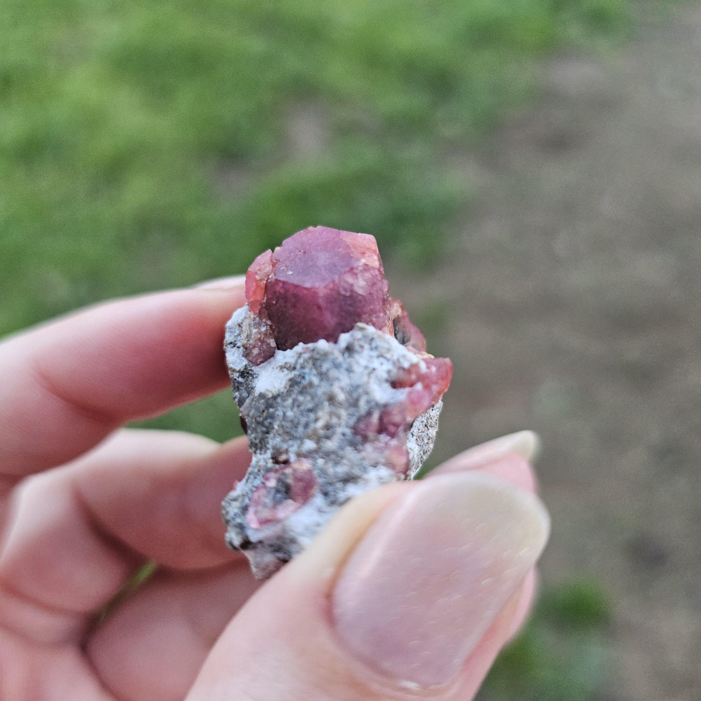 Raspberry Garnet on Matrix from Coahuila, Mexico, New Find 2024 <100