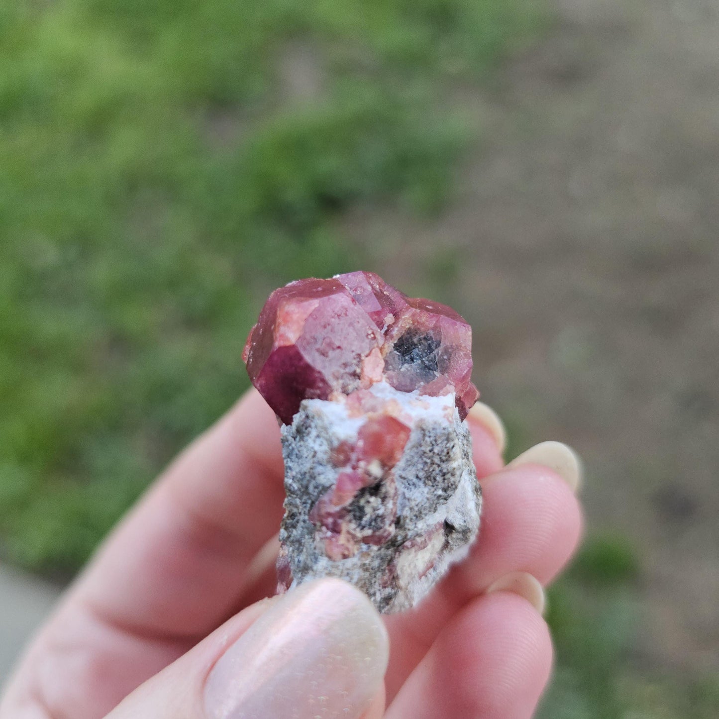 Raspberry Garnet on Matrix from Coahuila, Mexico, New Find 2024 <100