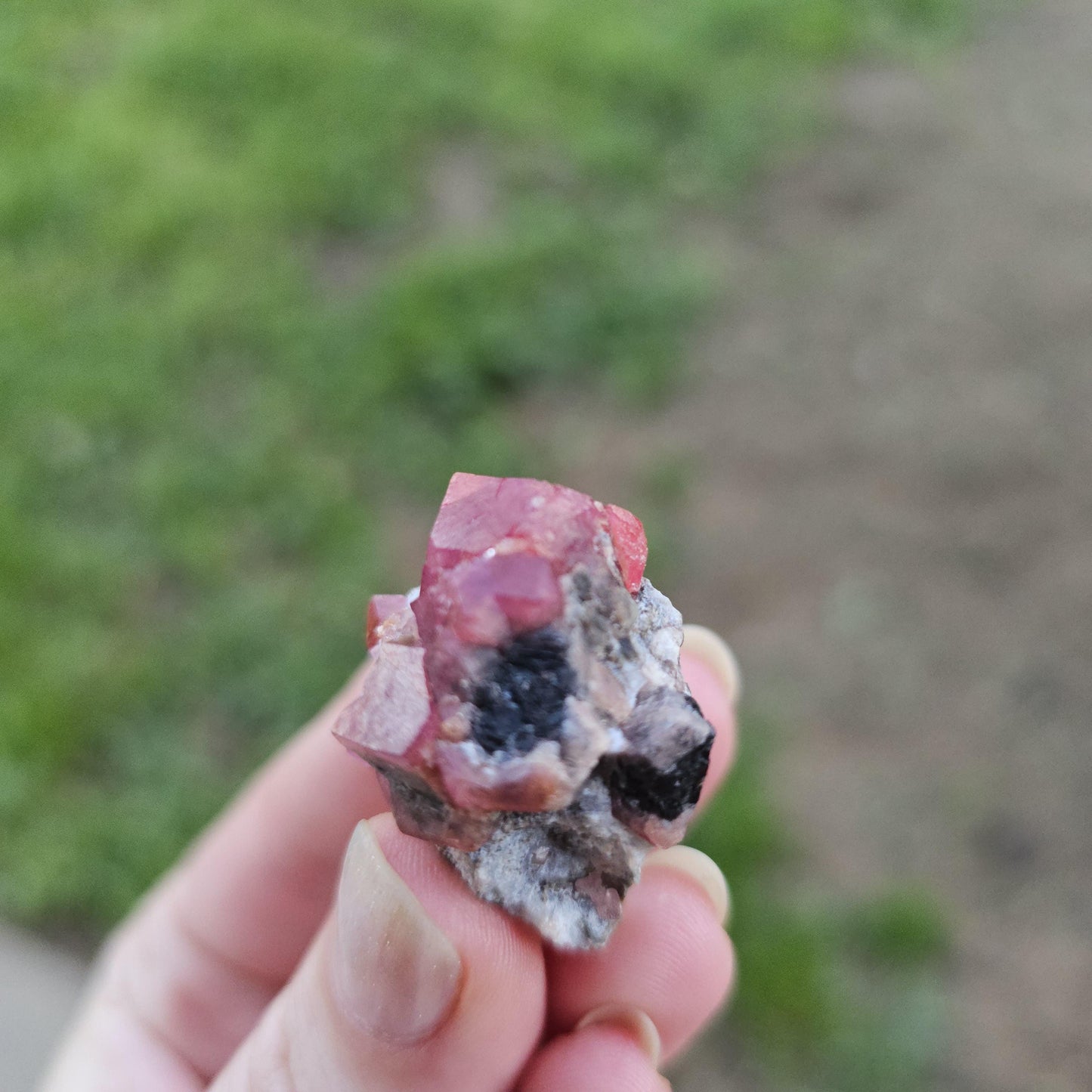 Raspberry Garnet on Matrix from Coahuila, Mexico, New Find 2024 <100