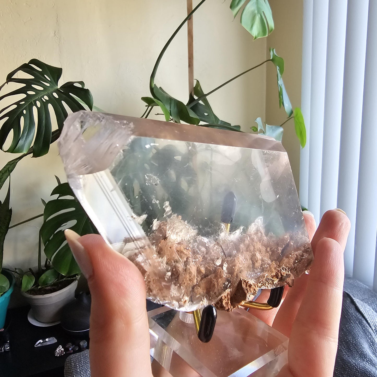 Very Rare Selenite Crystal with Garden-like Inclusions from the Defunct Naica Mine in Mexico