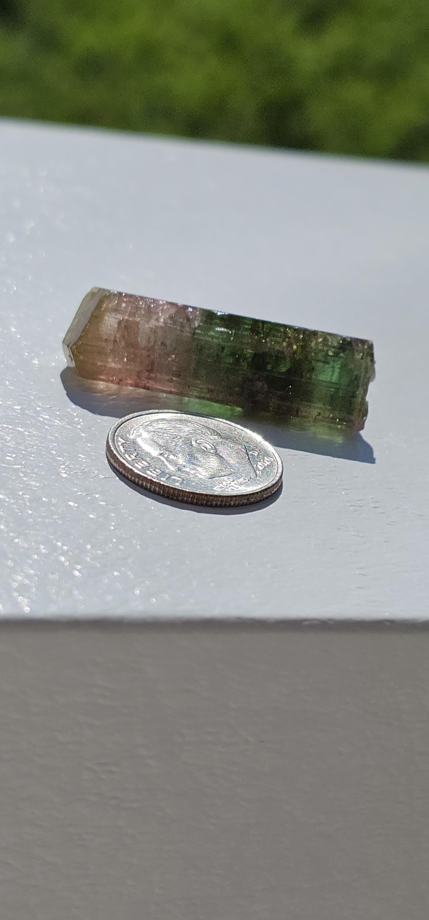 Tourmaline var. Elbaite, Taquaral Brazil, Rainbow Terminated Crystal, Rare Raw October Birthstone, Teal Green Yellow and Pink Gemstone