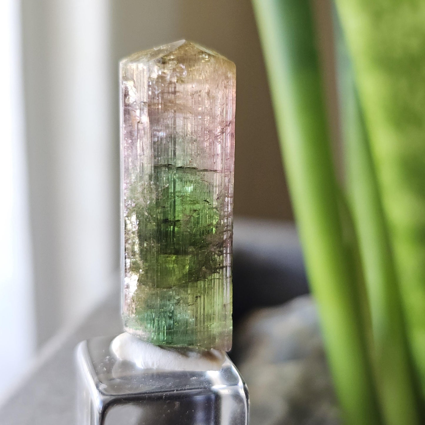 Tourmaline var. Elbaite, Taquaral Brazil, Rainbow Terminated Crystal, Rare Raw October Birthstone, Teal Green Yellow and Pink Gemstone