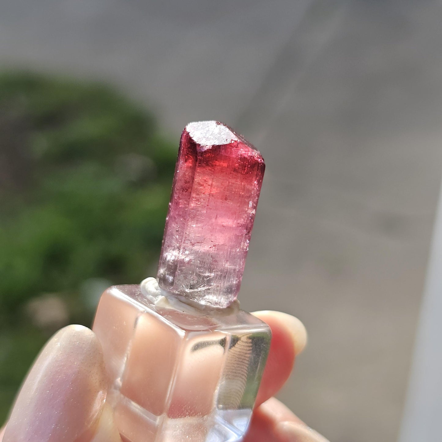 Lipstick Cruziero Tourmaline, Rare Raw Red Capped Elbaite, Teal w Hot Pink Cap, Terminated Collector Gemstone, Pendant Sized, Self Standing