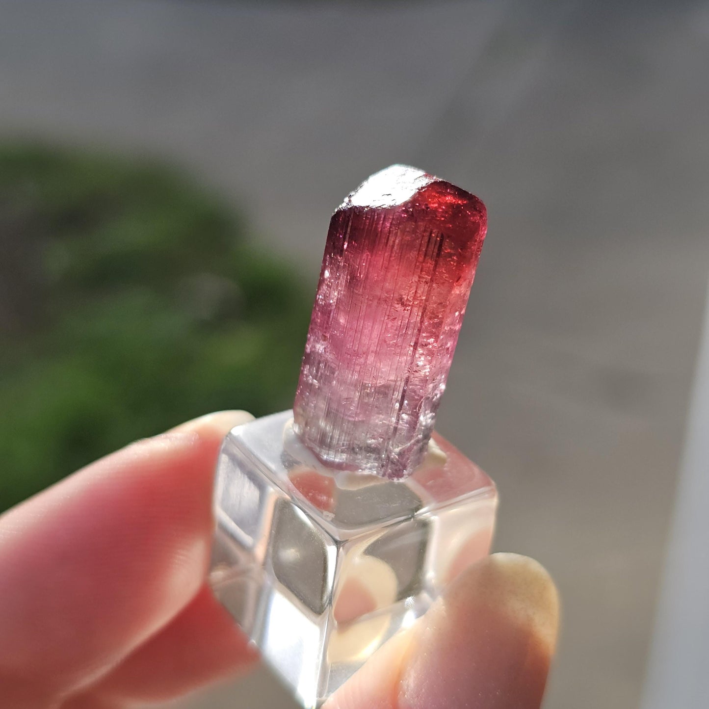 Lipstick Cruziero Tourmaline, Rare Raw Red Capped Elbaite, Teal w Hot Pink Cap, Terminated Collector Gemstone, Pendant Sized, Self Standing