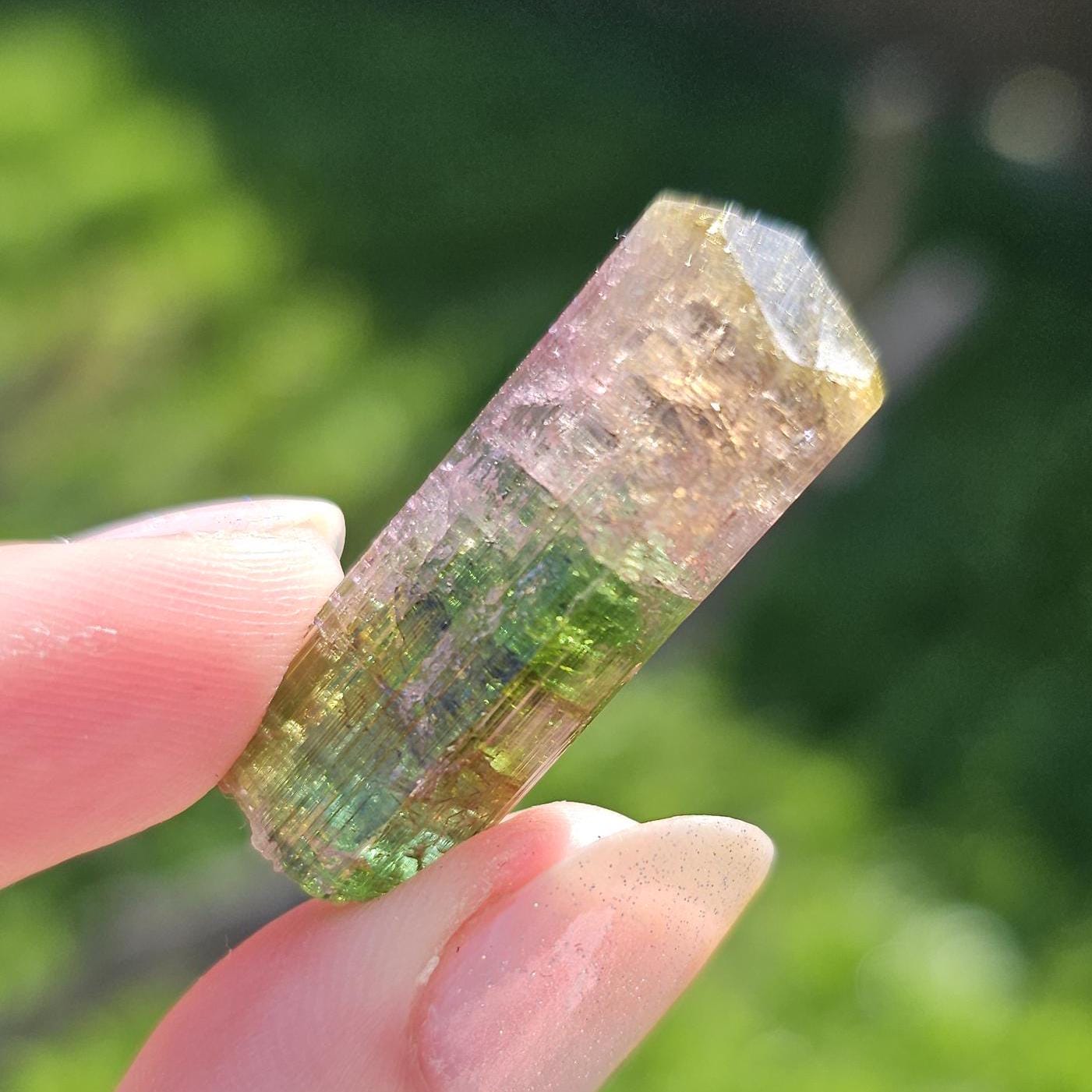 Tourmaline var. Elbaite, Taquaral Brazil, Rainbow Terminated Crystal, Rare Raw October Birthstone, Teal Green Yellow and Pink Gemstone