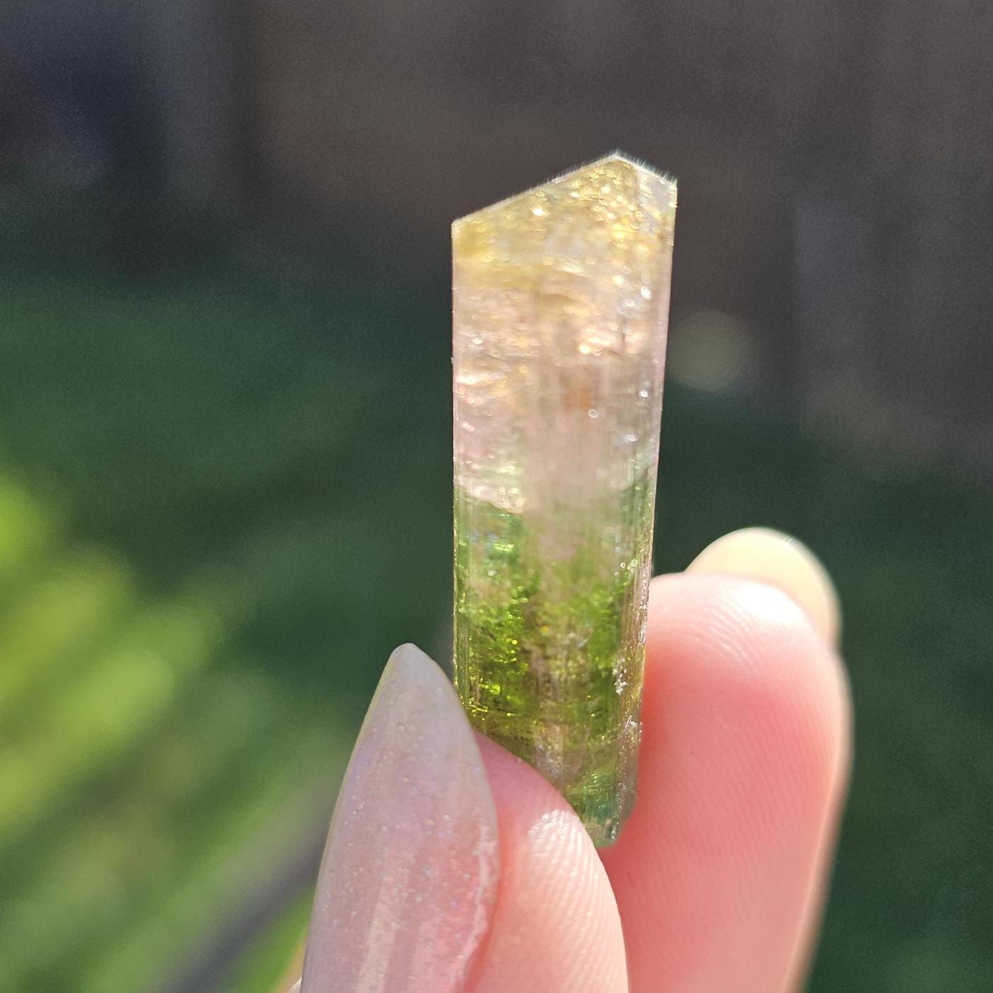 Tourmaline var. Elbaite, Taquaral Brazil, Rainbow Terminated Crystal, Rare Raw October Birthstone, Teal Green Yellow and Pink Gemstone