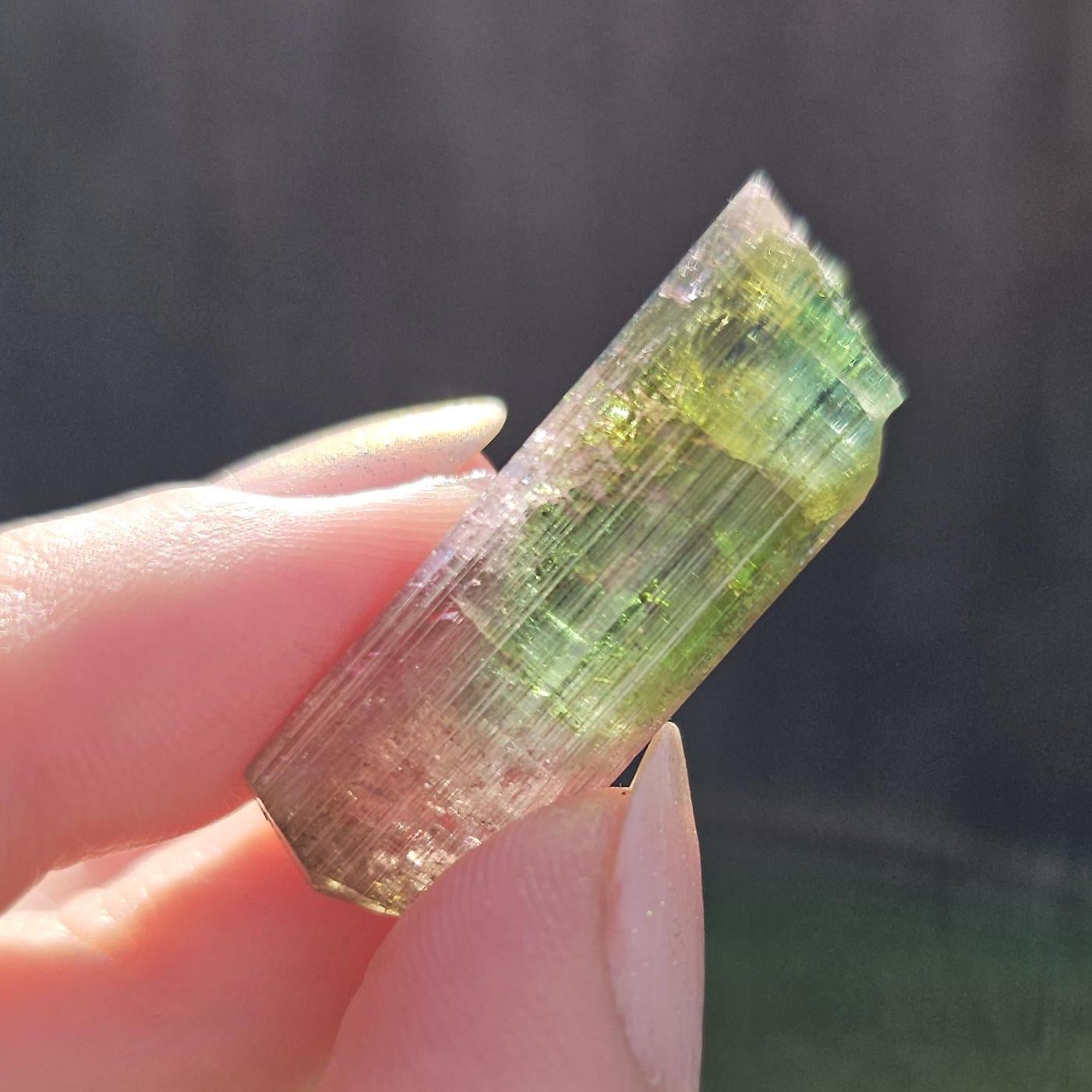 Tourmaline var. Elbaite, Taquaral Brazil, Rainbow Terminated Crystal, Rare Raw October Birthstone, Teal Green Yellow and Pink Gemstone