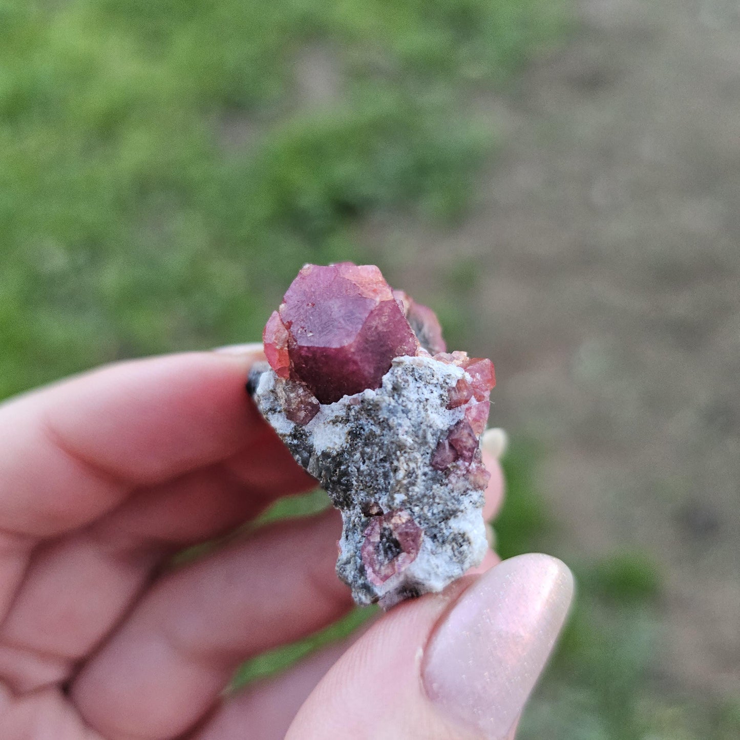 Raspberry Garnet on Matrix from Coahuila, Mexico, New Find 2024 <100