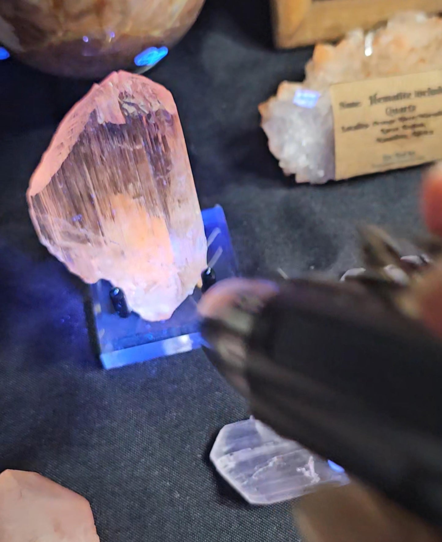 Museum Grade Bicolor Spodumene var. Kunzite Crystal