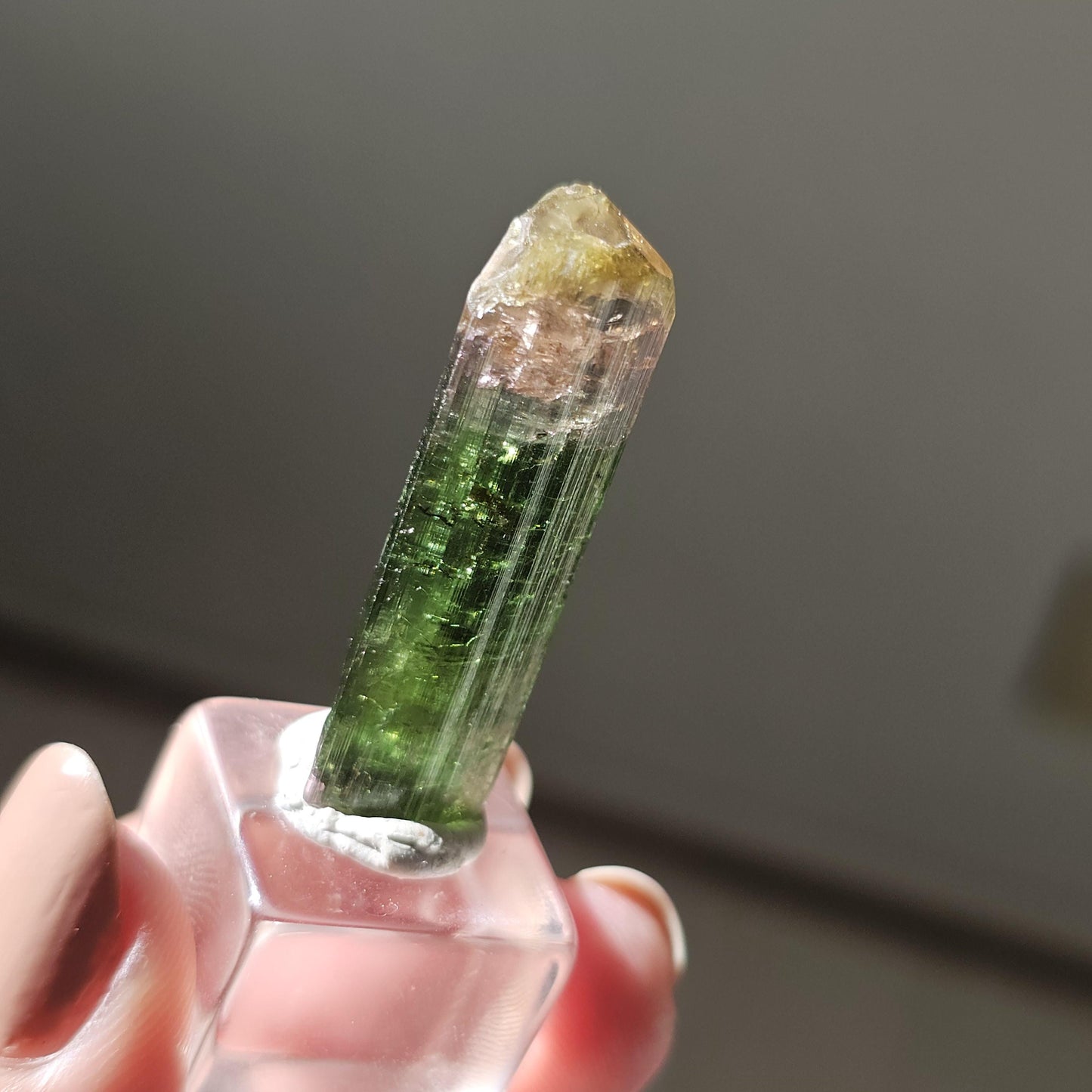 Tourmaline var. Elbaite, Taquaral Brazil, Rainbow Terminated Crystal