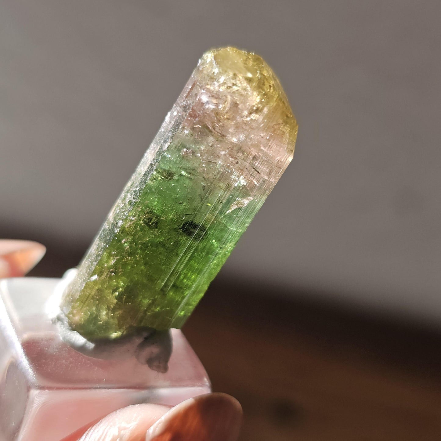 Tourmaline var. Elbaite, Taquaral Brazil, Rainbow Terminated Crystal