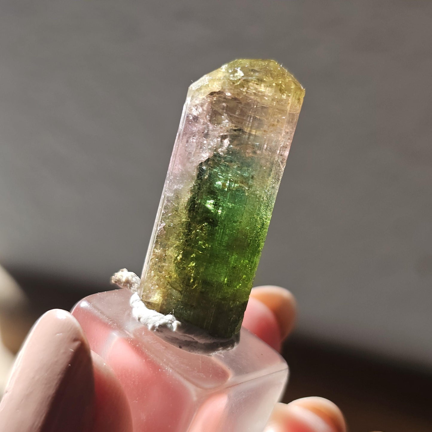 Tourmaline var. Elbaite, Taquaral Brazil, Rainbow Terminated Crystal