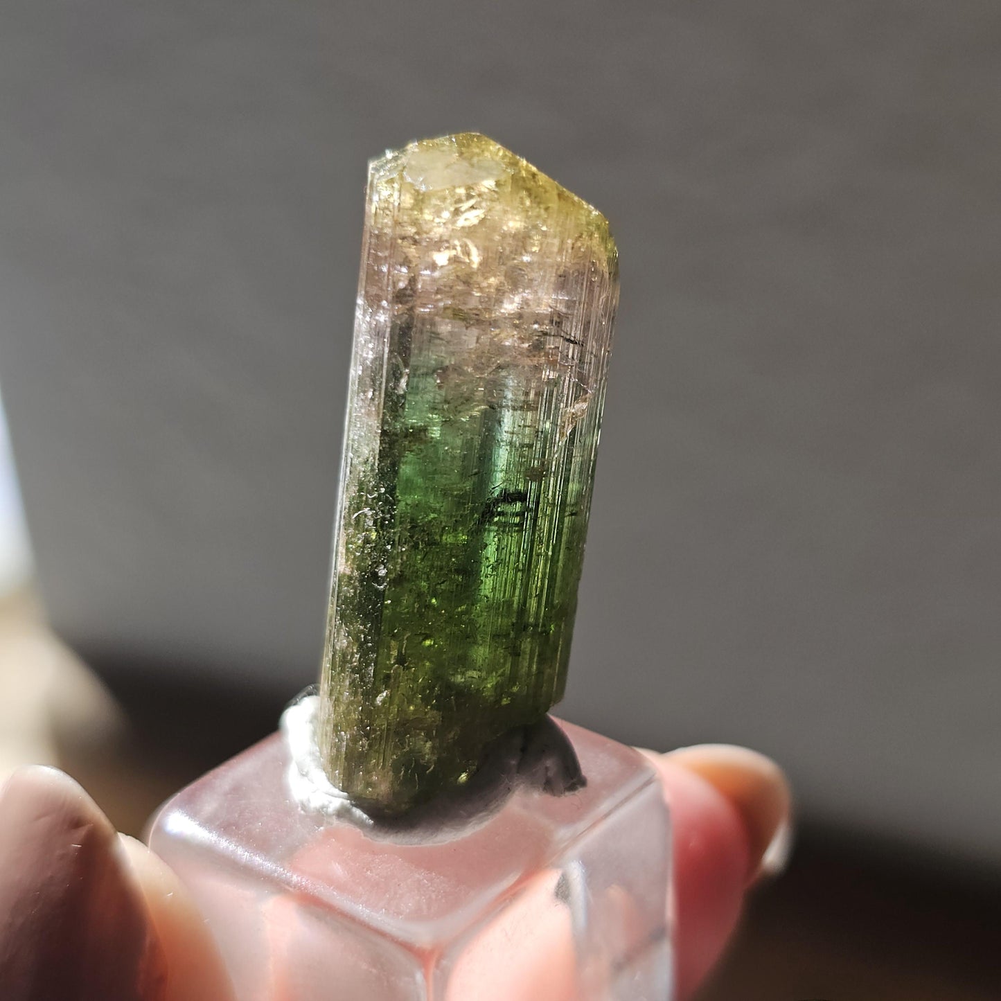 Tourmaline var. Elbaite, Taquaral Brazil, Rainbow Terminated Crystal