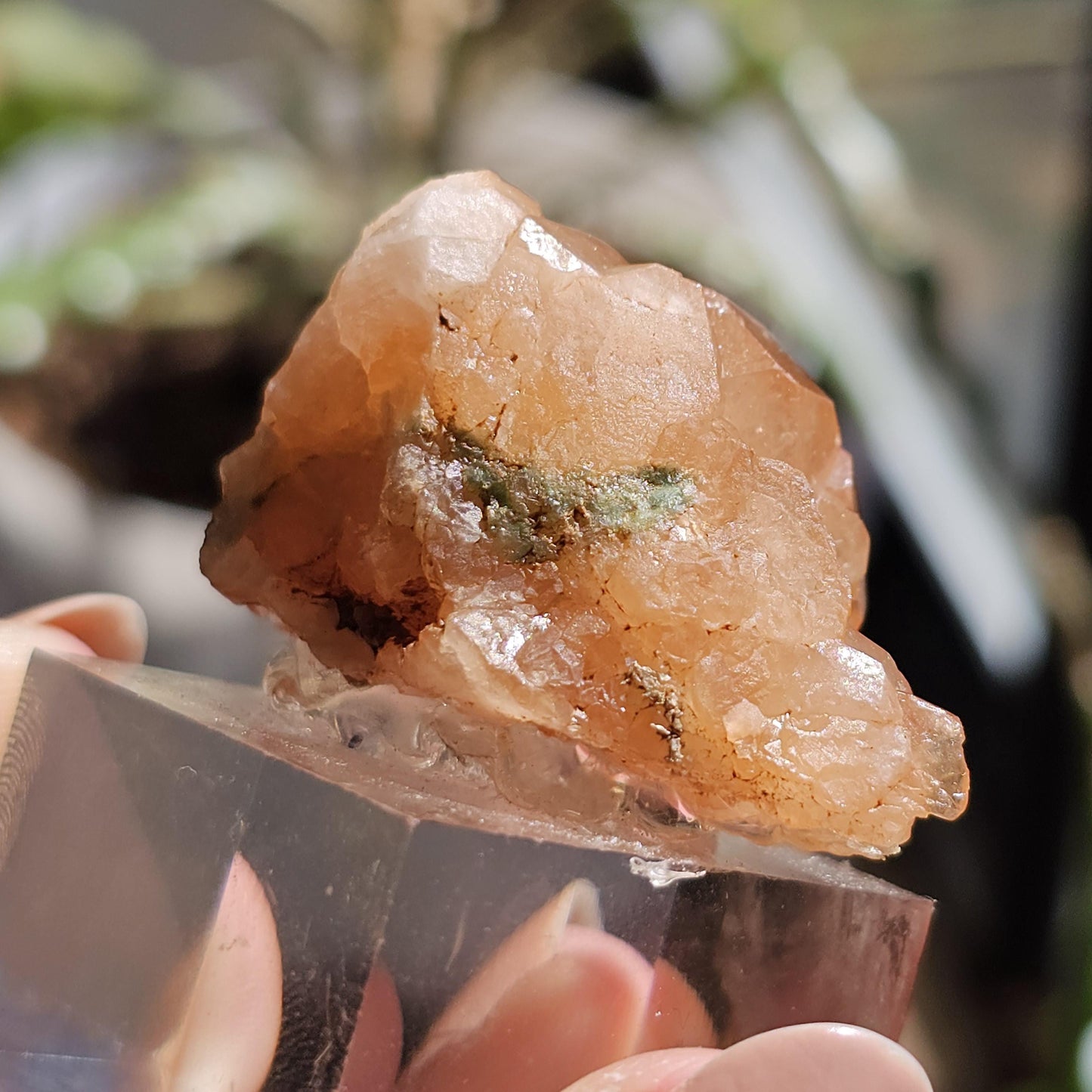 Peach Garnet Crystal Cluster, Hessonite Orange High Grade Collector Specimen