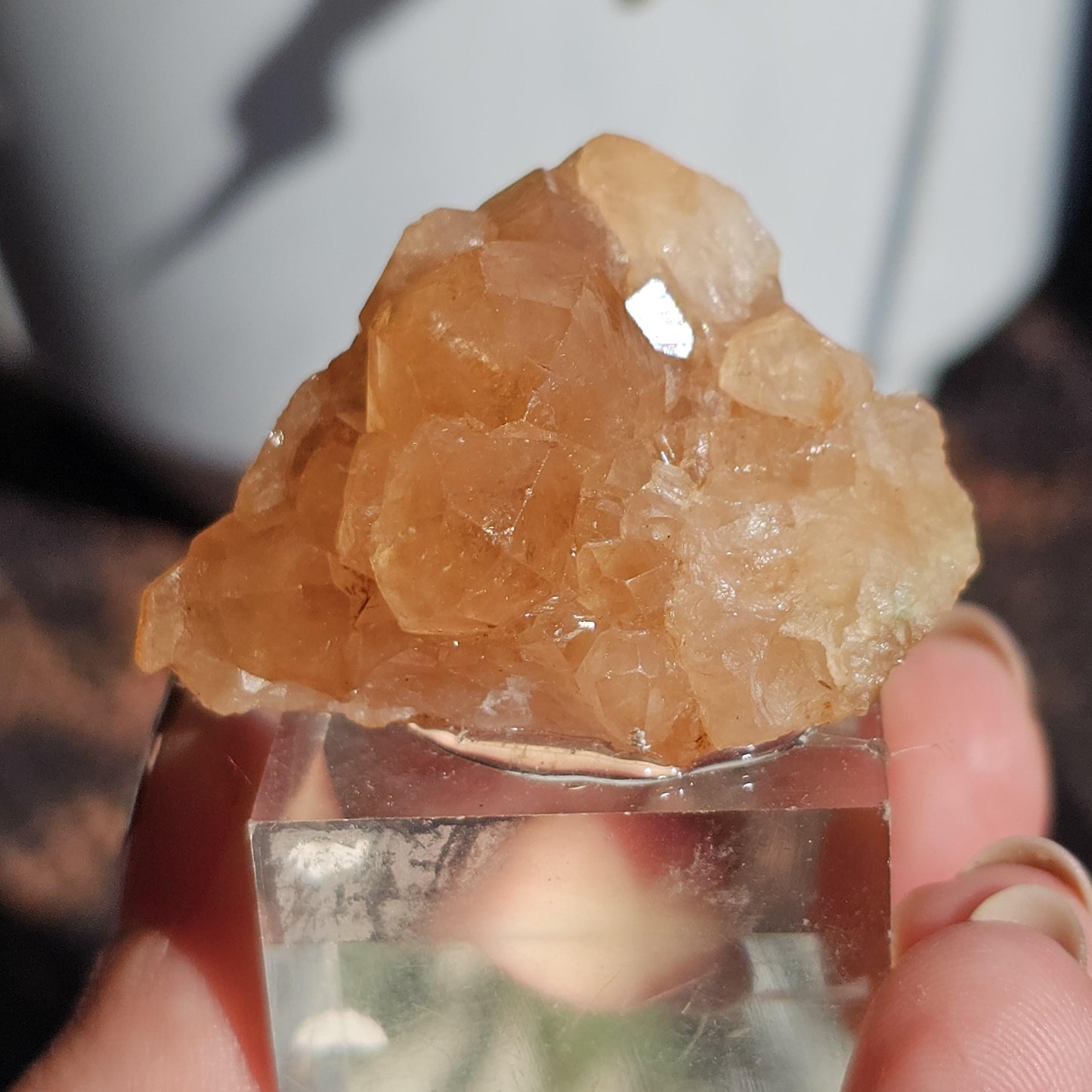 Peach Garnet Crystal Cluster, Hessonite Orange High Grade Collector Specimen