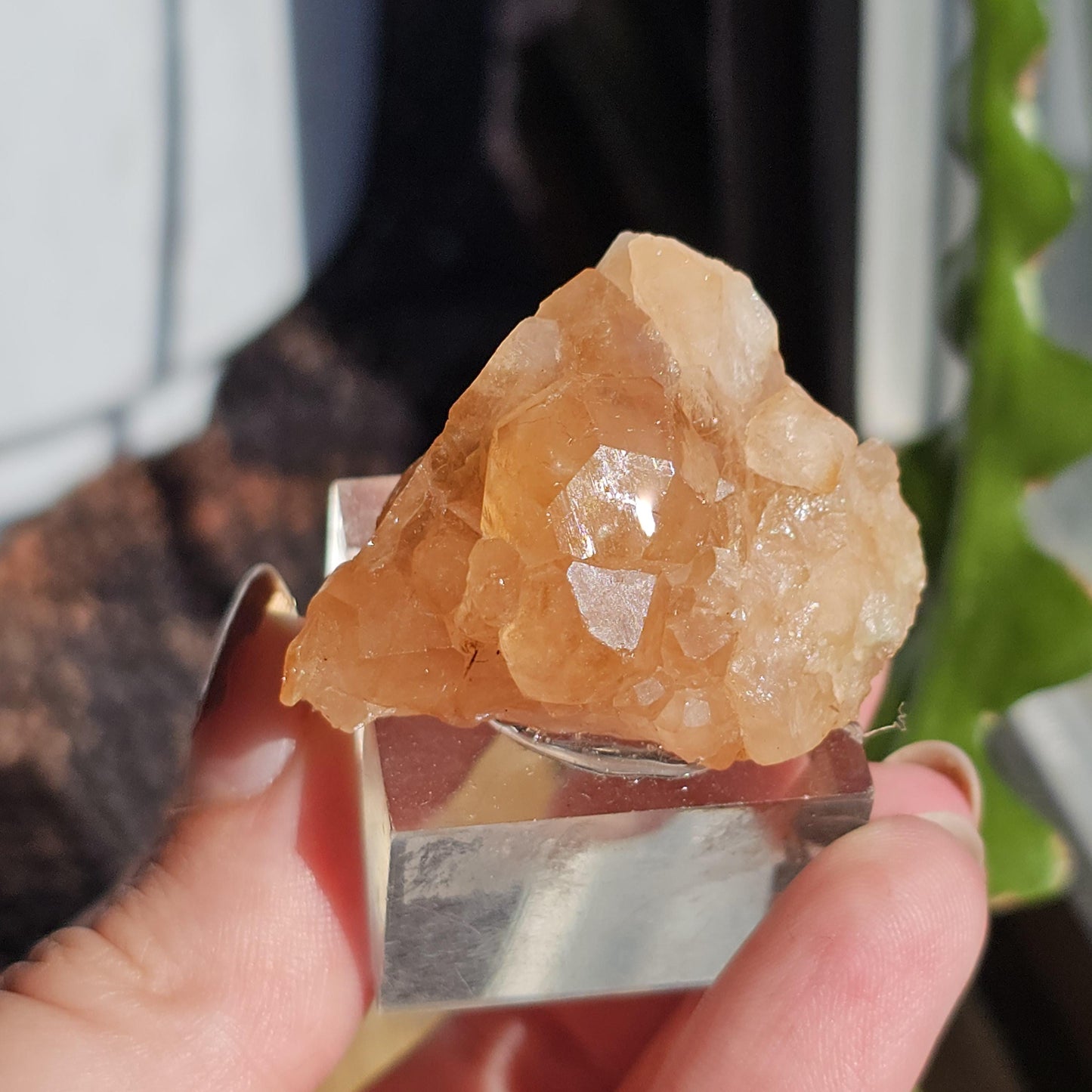 Peach Garnet Crystal Cluster, Hessonite Orange High Grade Collector Specimen