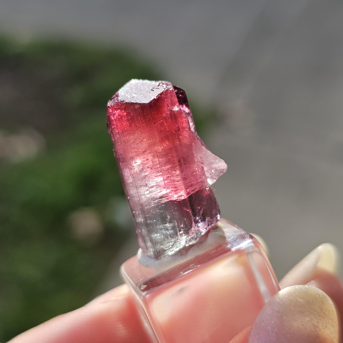 Lipstick Cruziero Tourmaline, Rare Lollipop Pocket Elbaite