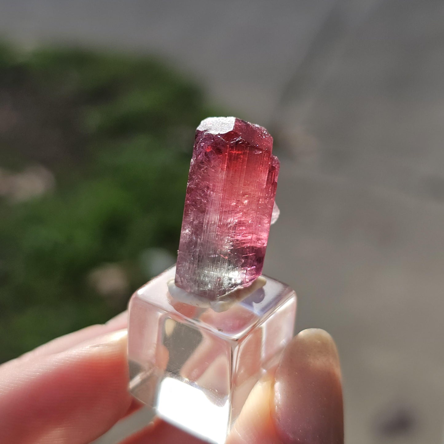 Lipstick Cruziero Tourmaline, Rare Lollipop Pocket Elbaite
