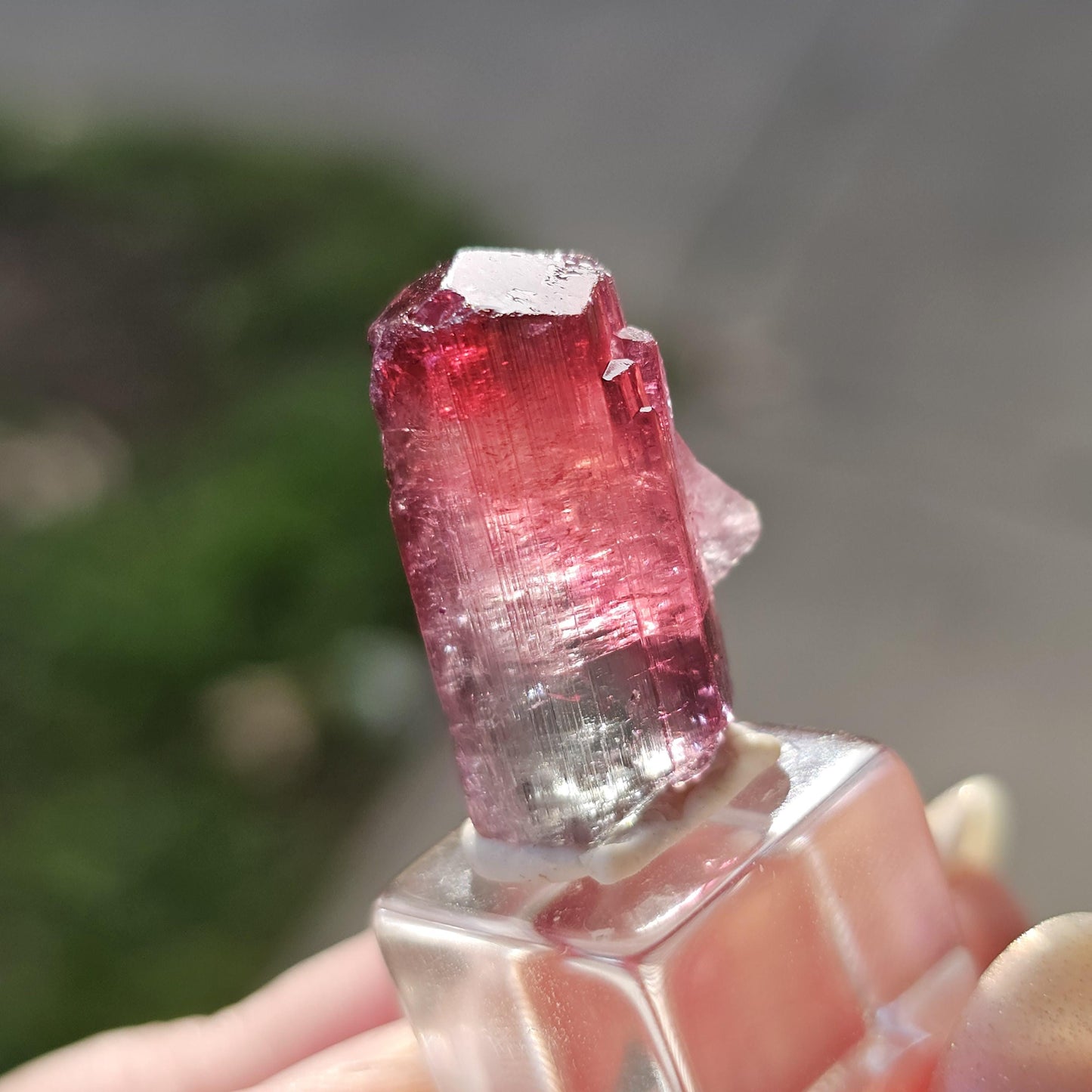 Lipstick Cruziero Tourmaline, Rare Lollipop Pocket Elbaite