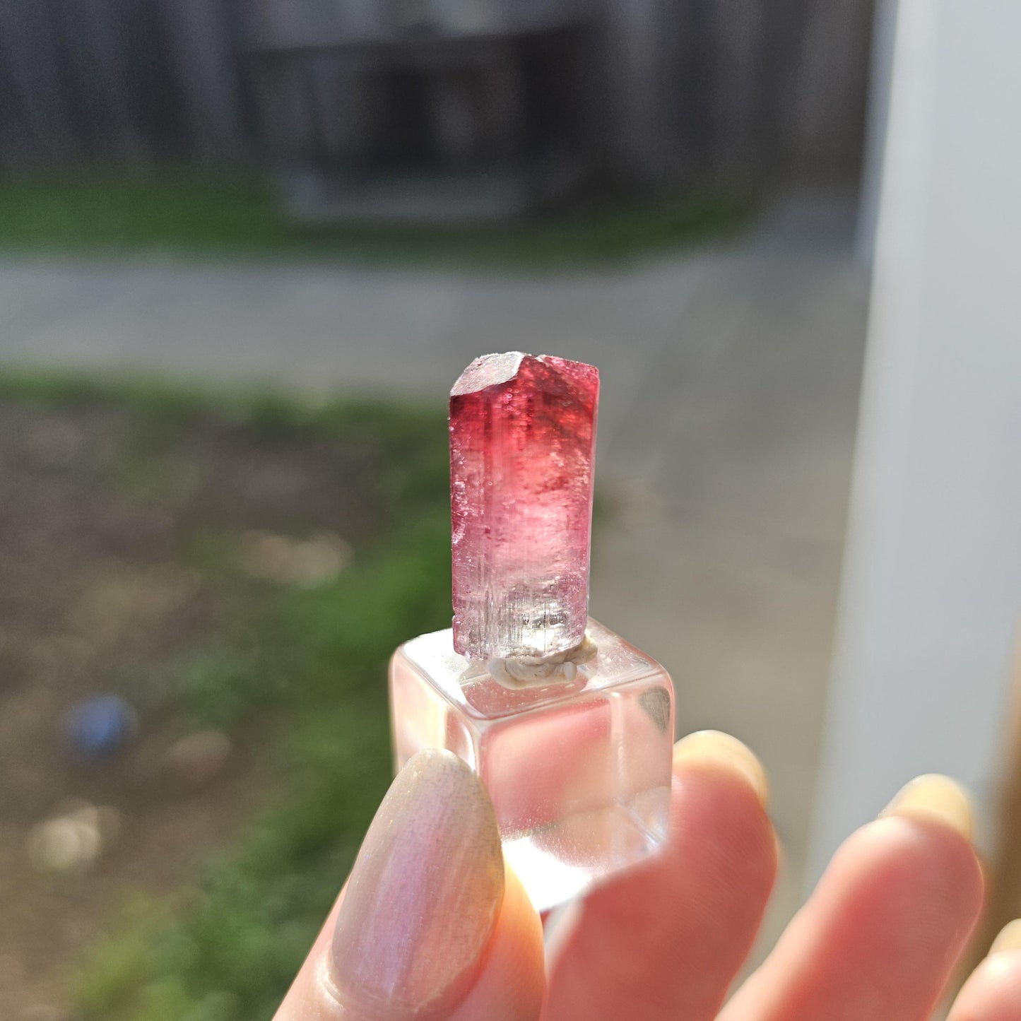 Lipstick Cruziero Tourmaline, Rare Raw Red Capped Elbaite, Teal w Hot Pink Cap, Terminated Collector Gemstone, Pendant Sized, Self Standing