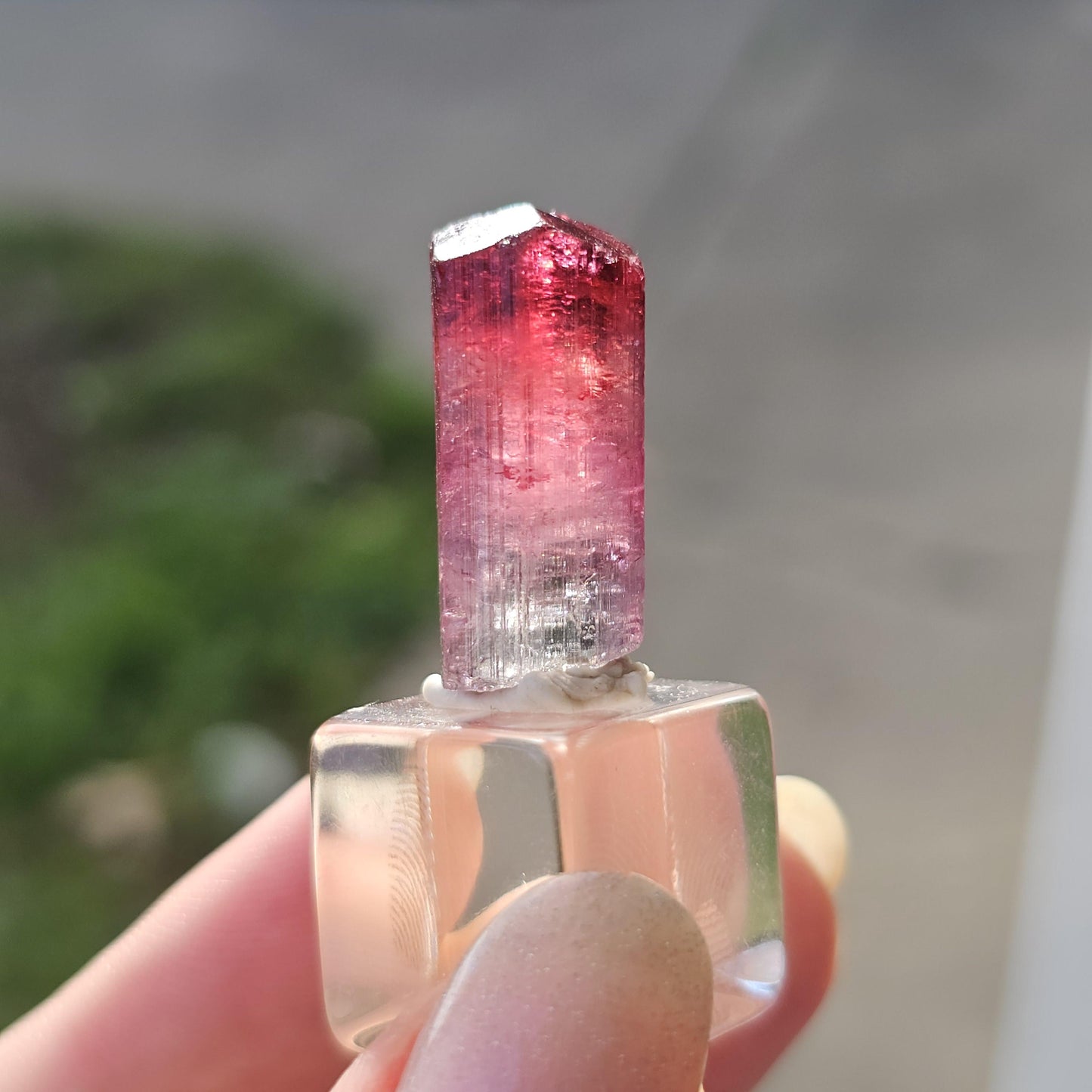 Lipstick Cruziero Tourmaline, Rare Raw Red Capped Elbaite, Teal w Hot Pink Cap, Terminated Collector Gemstone, Pendant Sized, Self Standing