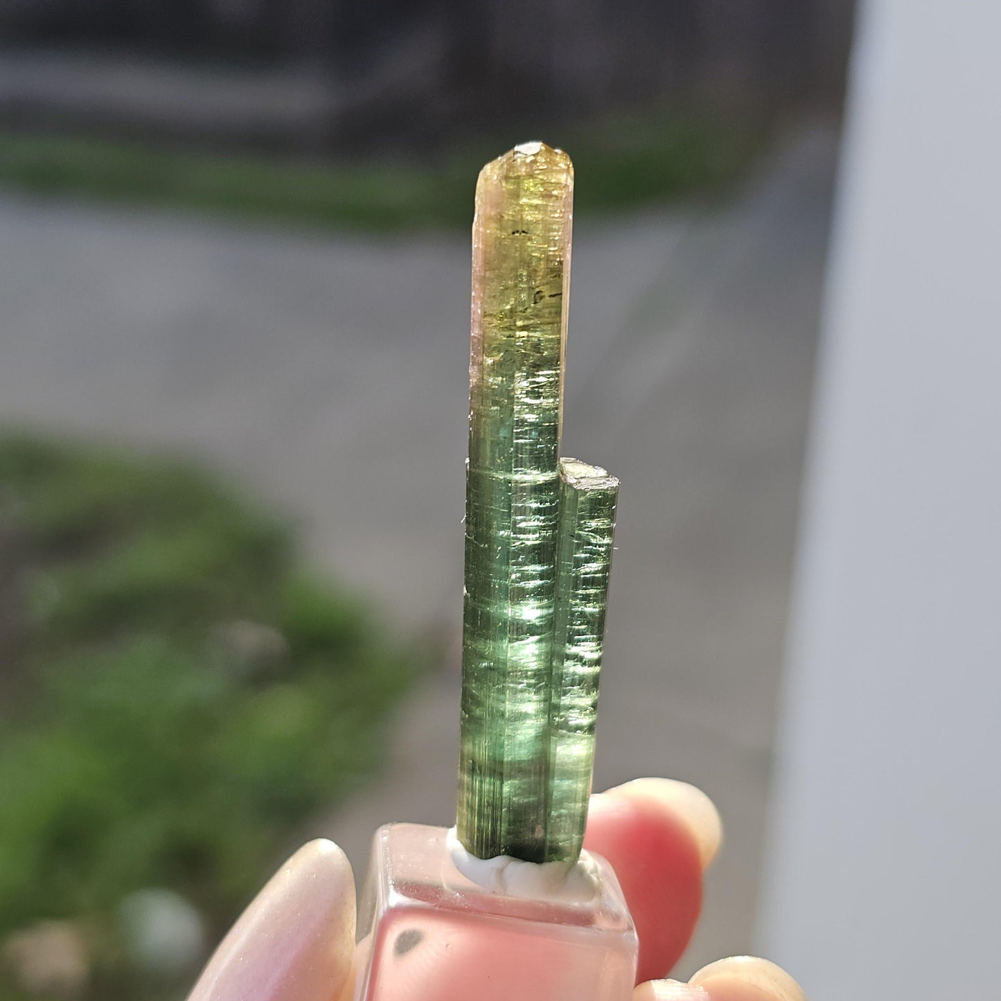New Find Tourmaline var. Elbaite Twin Pencil Crystal, Taquaral Brazil 2022