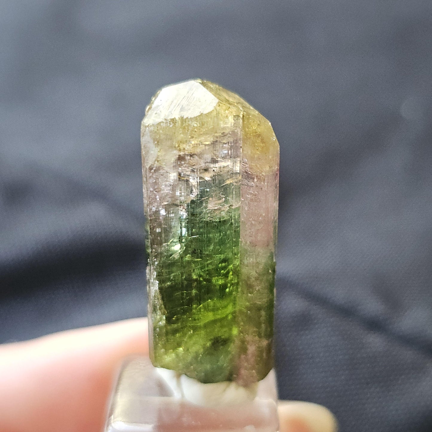 Tourmaline var. Elbaite, Taquaral Brazil, Rainbow Terminated Crystal