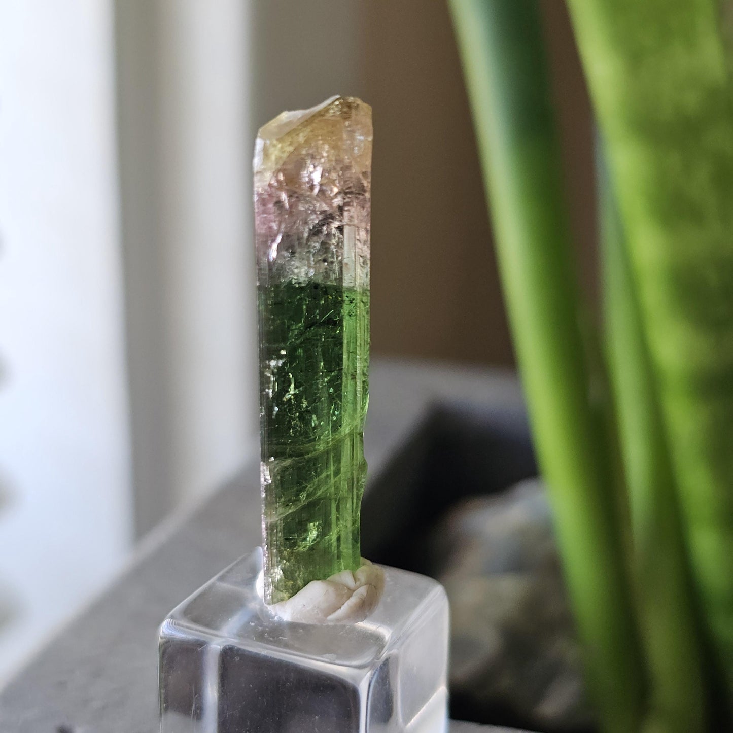 Tourmaline var. Elbaite, Taquaral Brazil, Rainbow Terminated Crystal