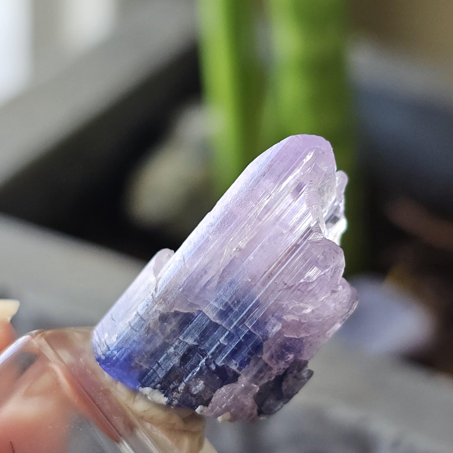 Rare Bicolor Tanzanite with Pink Termination from Merelani Hills, Tanzania, 5g / 25ct