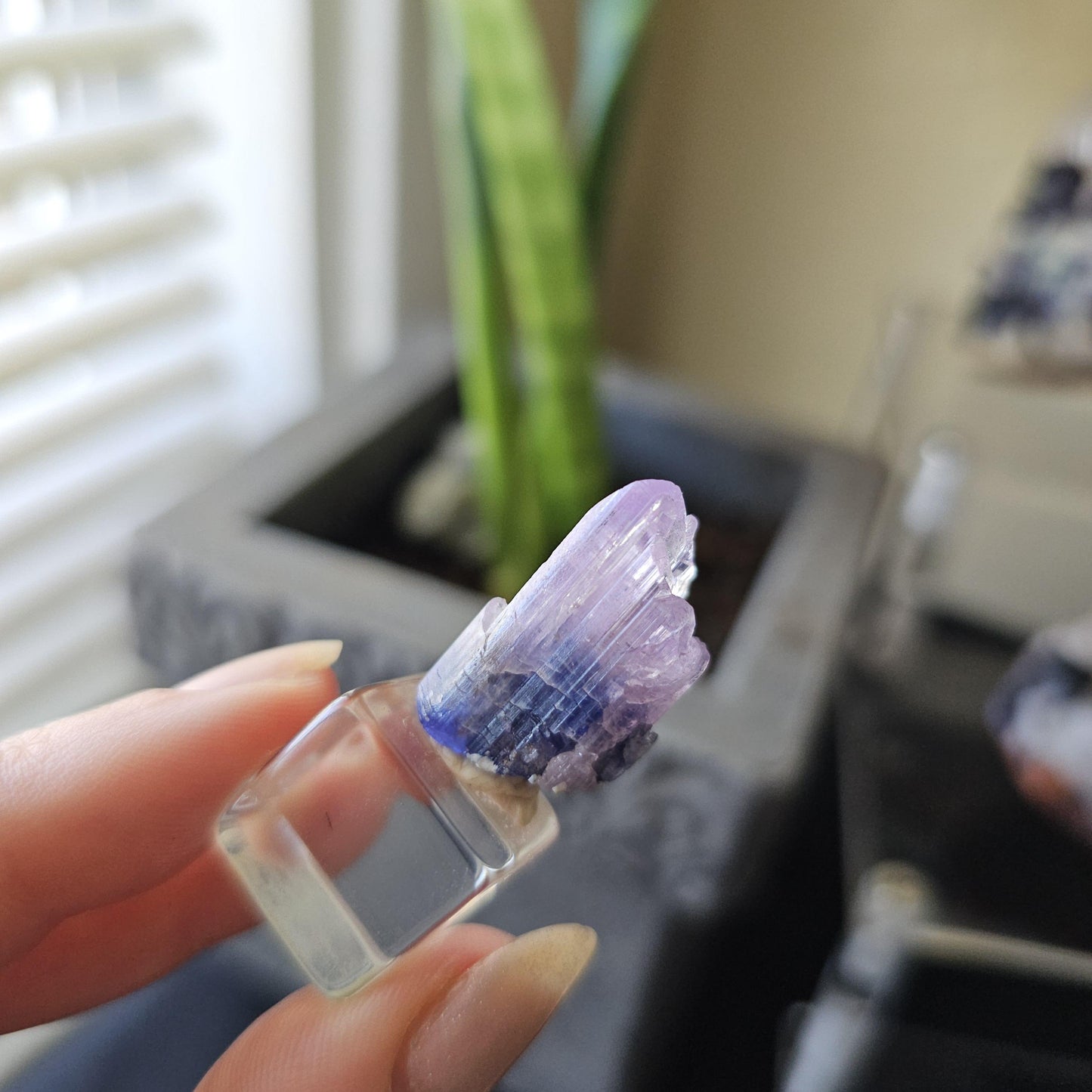 Rare Bicolor Tanzanite with Pink Termination from Merelani Hills, Tanzania, 5g / 25ct
