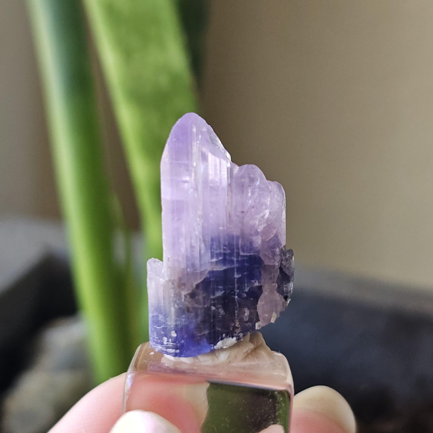 Rare Bicolor Tanzanite with Pink Termination from Merelani Hills, Tanzania, 5g / 25ct