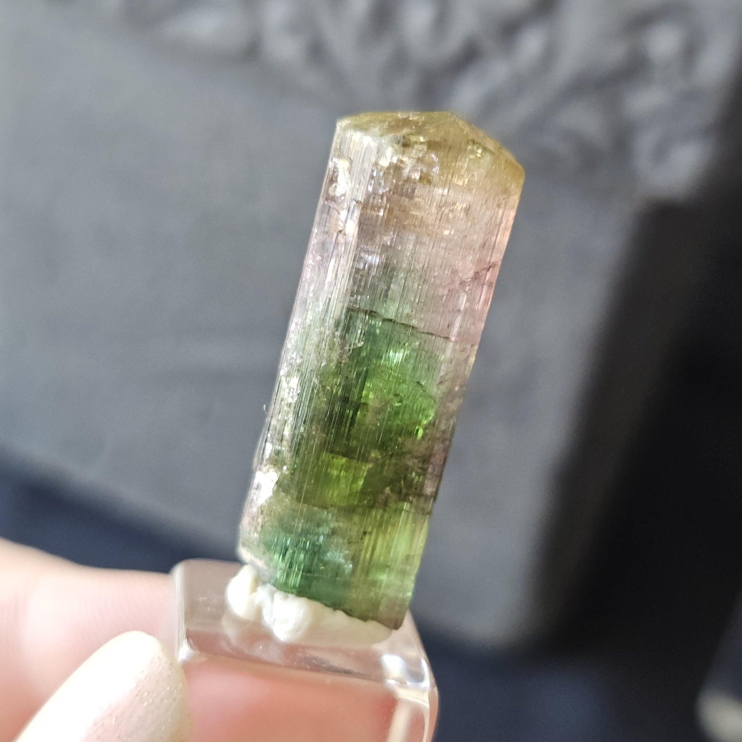 Tourmaline var. Elbaite, Taquaral Brazil, Rainbow Terminated Crystal, Rare Raw October Birthstone, Teal Green Yellow and Pink Gemstone