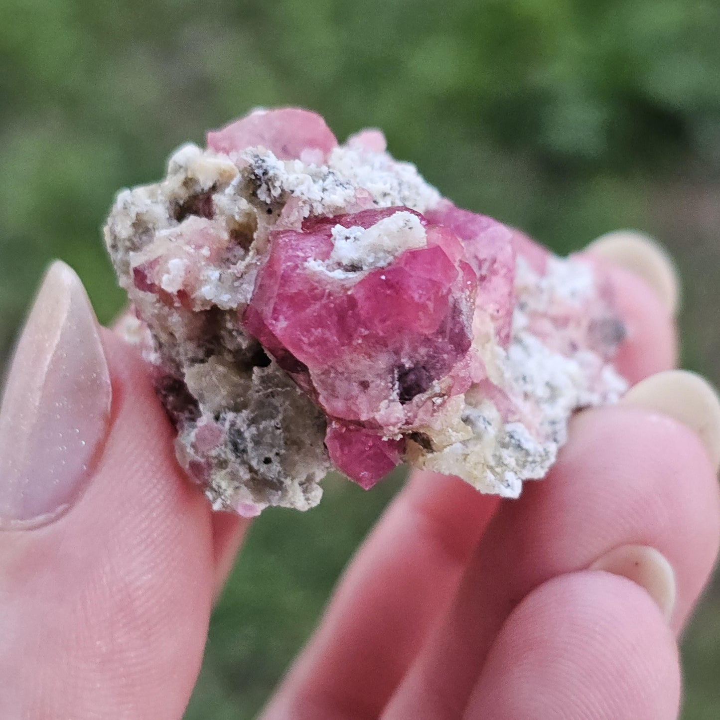 Raspberry Garnet on Matrix from Coahuila, Mexico, New Find 2024 <100