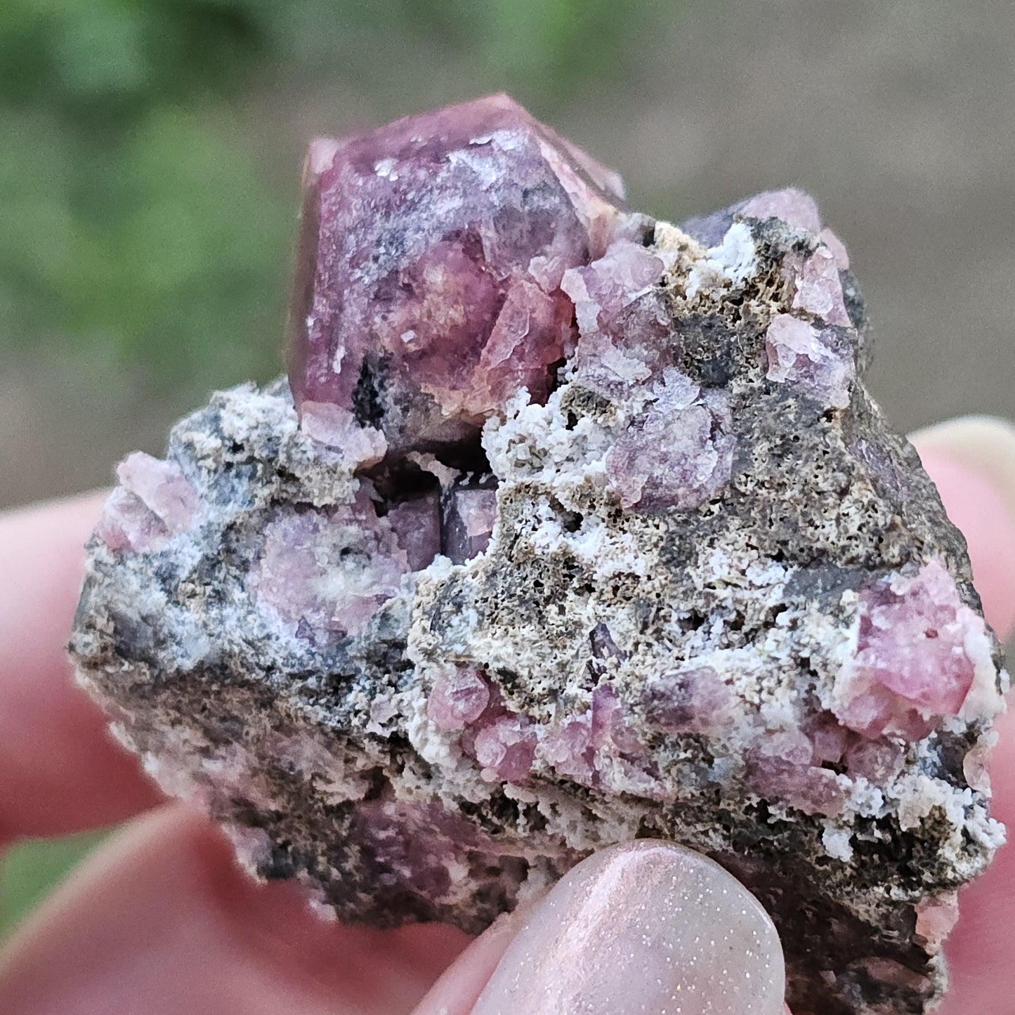 Raspberry Garnet on Matrix from Coahuila, Mexico, New Find 2024 <100