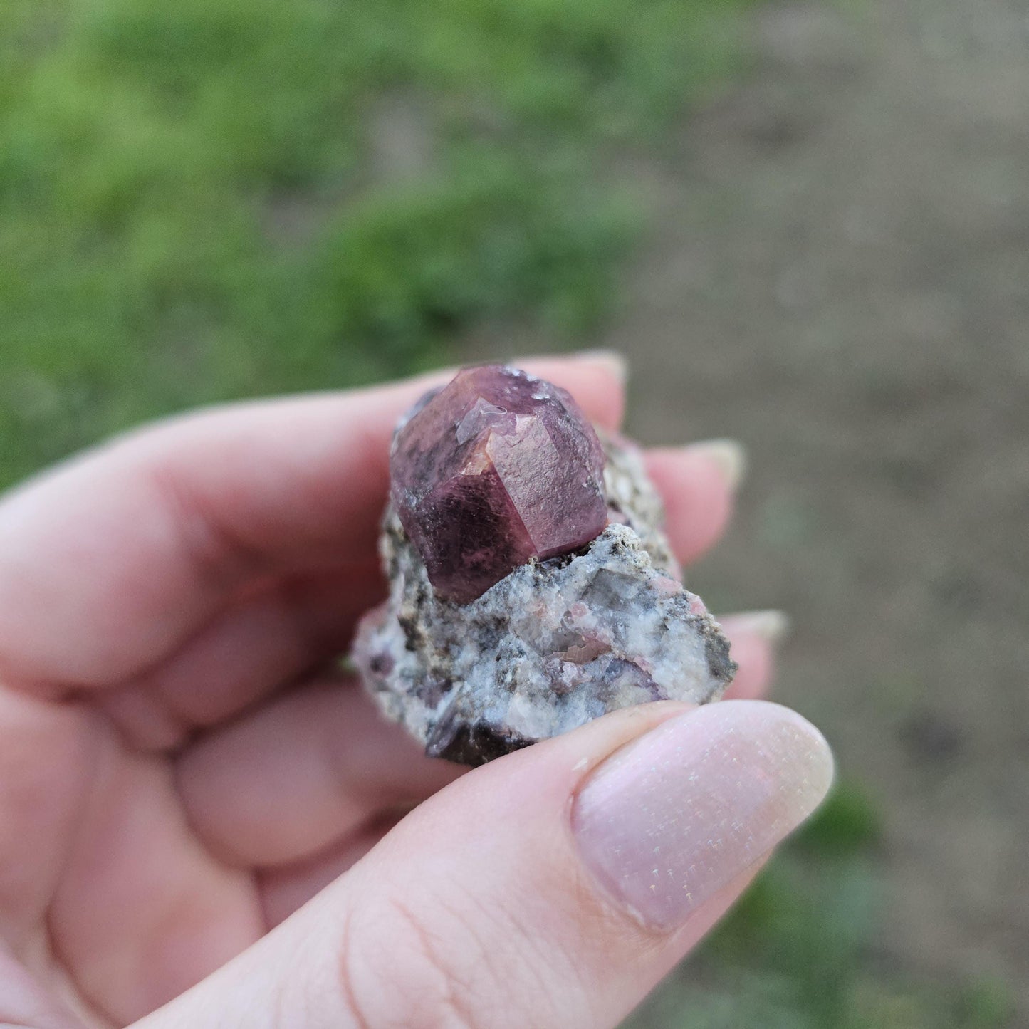 Raspberry Garnet on Matrix from Coahuila, Mexico, New Find 2024 <100