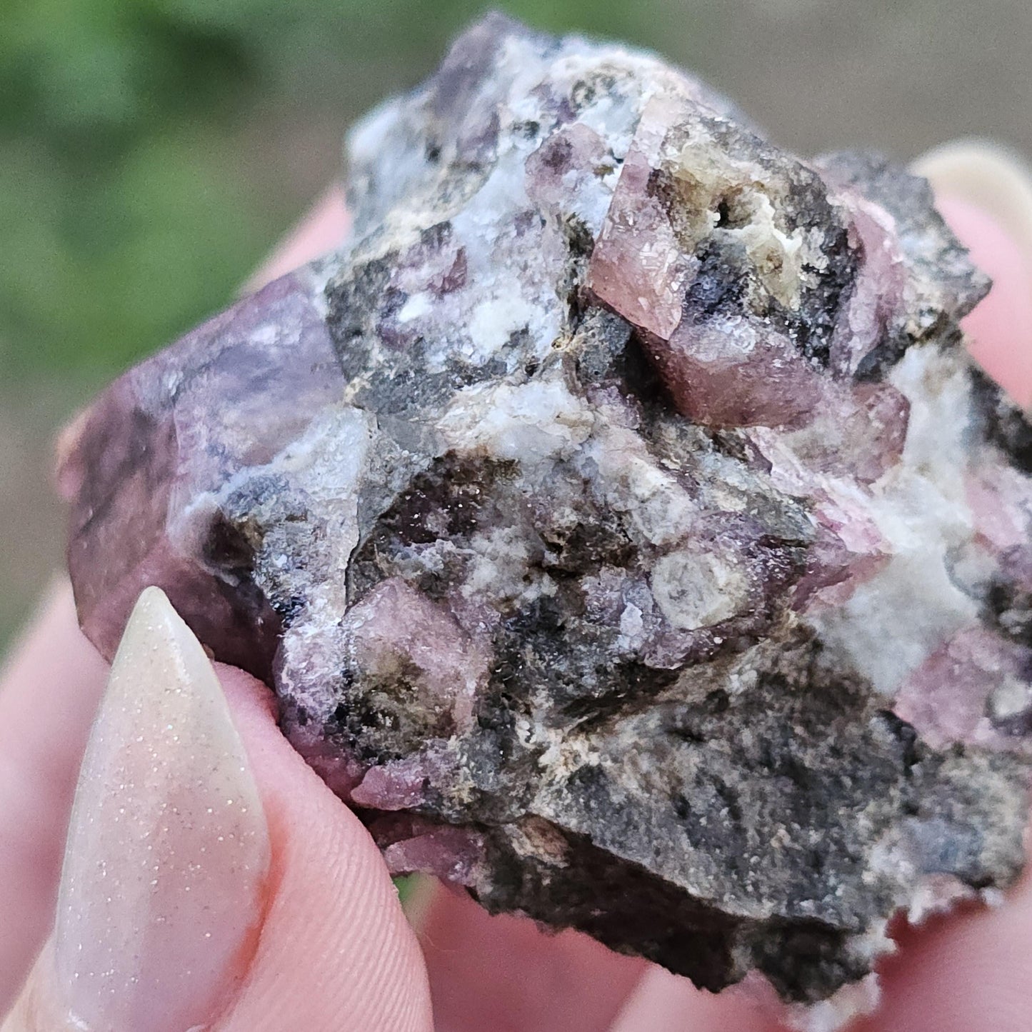 Raspberry Garnet on Matrix from Coahuila, Mexico, New Find 2024 <100