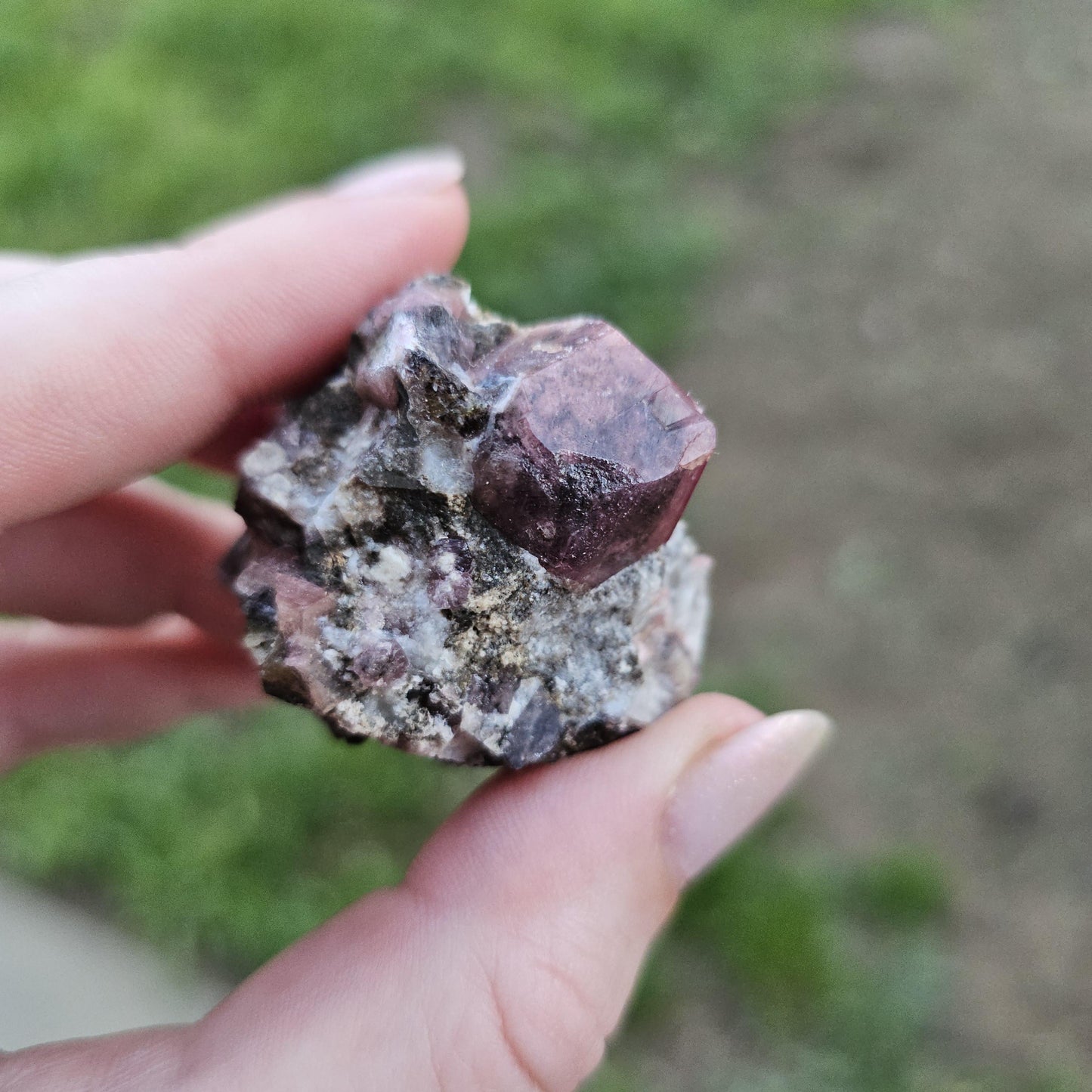 Raspberry Garnet on Matrix from Coahuila, Mexico, New Find 2024 <100