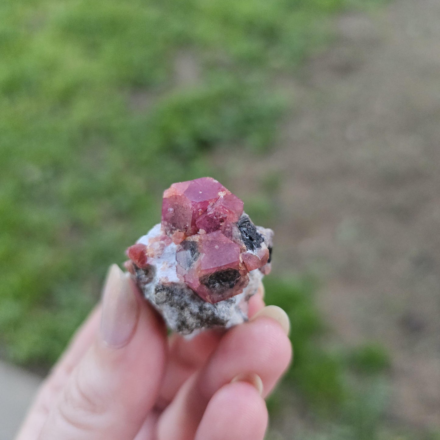 Raspberry Garnet on Matrix from Coahuila, Mexico, New Find 2024 <100