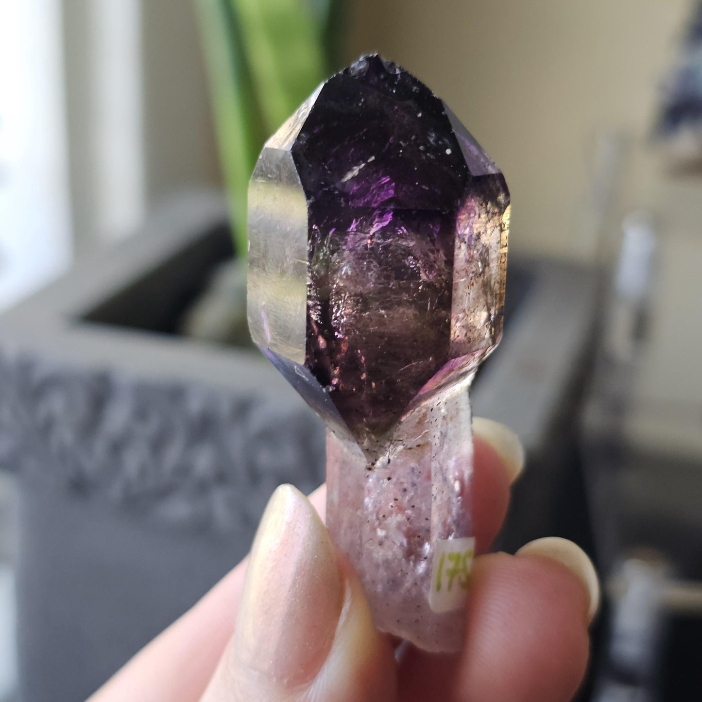 AAA Smoky Amethyst Scepter, Double Terminated, Rare Formation, High Luster, Raw Quartz, Collector Specimen, via the Shangaan Tribe, Zimbabwe